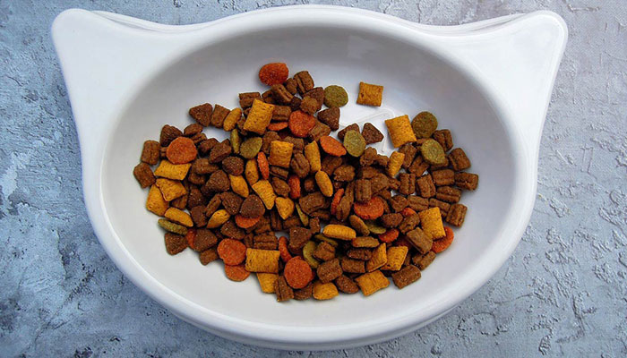 bowl of cat food